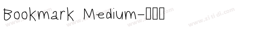 Bookmark Medium字体转换